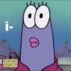 Meet your Posher, Gracie